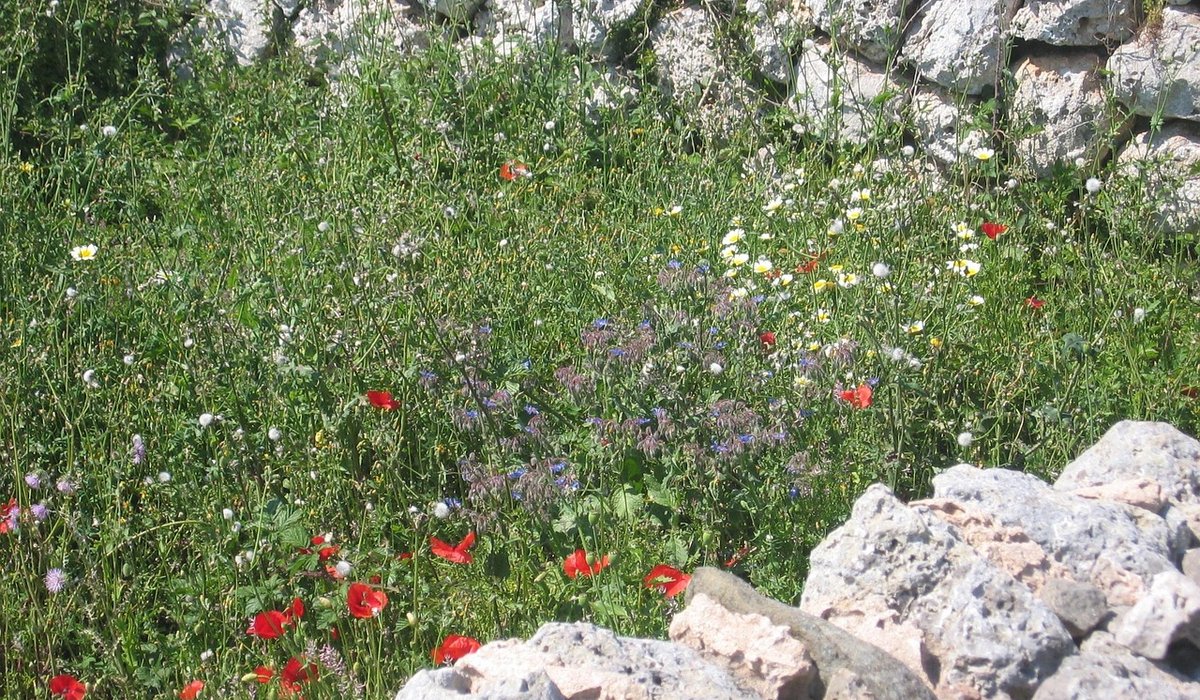 Using Local Stone In A Cottage Garden