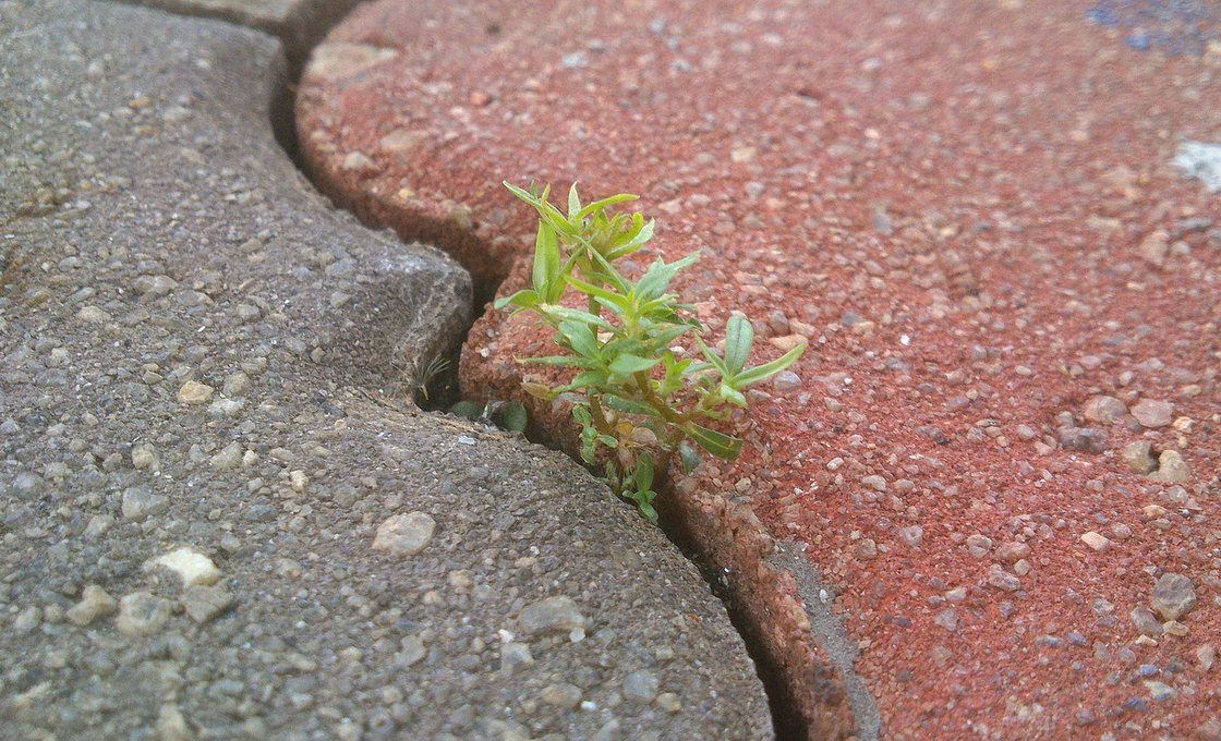 Stonecraft Journal